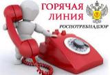 О проведении горячей линии по вопросам качества и безопасности детских товаров, выборе новогодних подарков