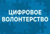 ЧЕМ ПОМОГУТ ЦИФРОВЫЕ ВОЛОНТЕРЫ ПЕРЕПИСИ?