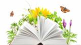 Областной творческий конкурс «Открытая книга природы» 
