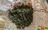 Сотрудниками полиции выявлен факт незаконного оборота наркотических средств