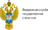 ВОЗМОЖНОСТИ ЦИФРОВОЙ ПЕРЕПИСИ НАСЕЛЕНИЯ