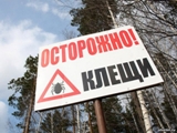 О мерах профилактики инфекций, передающихся клещами