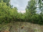 В связи с ураганом в городе провёл заседание оперативного штаба. 