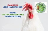 Меры по профилактике гриппа птиц 