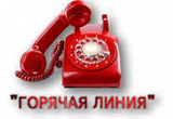 Открыта горячая линия по выплатам на детей с 3 до 7 лет
