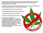 Наркотикам НЕТ!