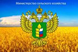 Несвязанная поддержка 2019 (новый порядок)