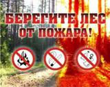 Противопожарная кампания "Останови огонь!"