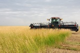 В хозяйствах области продолжается заготовка кормов