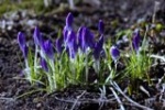 В Саратовской области похолодает 