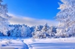 Прогноз погоды