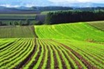 Наиболее распространённые нарушения земельного законодательства жителями Саратовской области в 2018 году