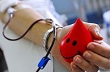 В рамках Национального дня донора кровь сдали 120 жителей области