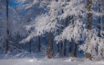 Морозы не спешат покидать Саратовскую область 