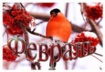 Февраль в Саратовской области обещает быть снежным 