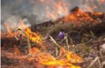 Загорания растительности и мусора небезопасны