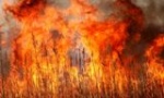 Уважаемые жители и гости Калининского муниципального района, руководители сельскохозяйственных предприятий и организаций всех форм собственности! 
