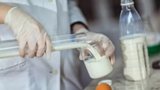 Мастер-классы по вопросам сокращения молочного фальсификата
