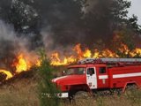 Уважаемые жители и гости Калининского муниципального района, руководители сельскохозяйственных предприятий и организаций всех форм собственности! 
