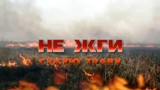 Информацию о проведении информационной кампании против поджогов сухой травы.