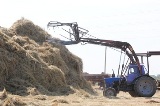В хозяйствах муниципальных районов Саратовской области продолжается заготовка кормов