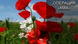 Операция «Мак – 2019»