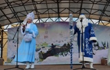 Торжественное открытие городской елки