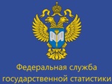 В Росстате рассказали о переписи россиян с помощью геоданных