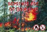 На территории Саратовской области введен особый противопожарный режим на землях лесного фонда