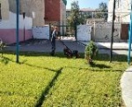 Утром, отложив на время привычные обязанности, сотрудники администрации района, трудовые коллективы, студенты, индивидуальные предприниматели вышли на общегородской субботник.