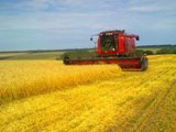 Новости с полей