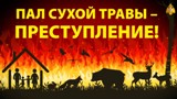 «Палы сухой травы запрещены»