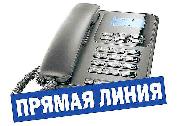 О проведении Прямой линии
