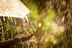Синоптики снова обещают саратовцам ливни и сильный ветер 