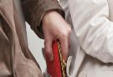 В Калининске полицейскими раскрыта кража по горячим следам