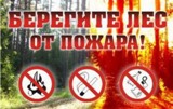 В связи с нарастанием среднесуточных температур усилено патрулирование в лесах области