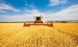 Готовность сельскохозяйственных предприятий района к уборке урожая и заготовке кормов в зимовку 2016-2017 годов