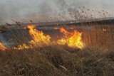 Отдел надзорной деятельности и профилактической работы по Калининскому, Лысогорскому и Самойловскому районам Саратовской области УНД и ПР Главного управления МЧС России  напоминает