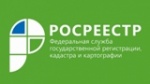 Личный кабинет правообладателя на сайте Росреестра