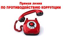 Прямая линия по вопросам противодействия коррупции