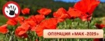 Третий этап. МАК 2025