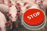 В Саратовской области отменен карантин по АЧС