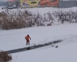 Спасатели областной службы спасения отловили лебедя
