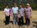 Уборочная страда в ООО "Кольцовское"