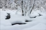 Содержание воды в снеге вчетверо выше областной нормы 