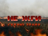 ПАМЯТКА о запрете сжигания сухой травы 