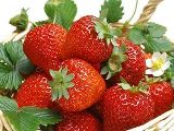 Выставка-продажа «Клубничный пир на весь мир!»