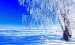 Морозы в ближайшие дни не покинут Саратовскую область