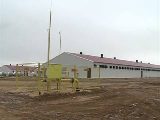 В Калининском районе запущен новый свиноводческий комплекс на 75 тыс. голов