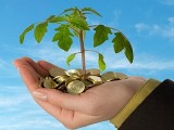 Саратовская область на развитие малого бизнеса получит 72 млн рублей
